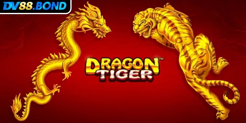 Rồng Hổ DV88 Giải Mã Bí Mật Chiến Thắng Từ Các Cao Thủ 1 Khám phá trò chơi rồng hổ DV88